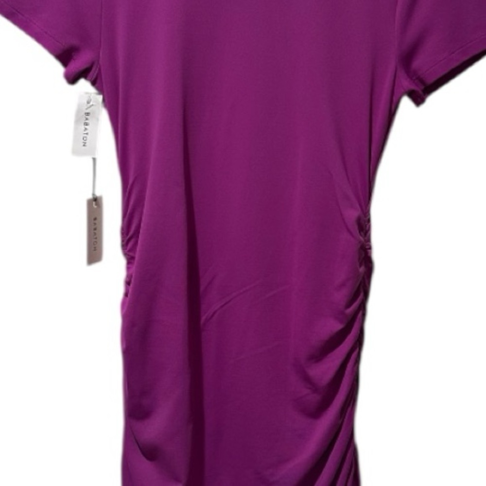 Aritzia Babaton Ruched Mini Dress - Picture 6 of 14
